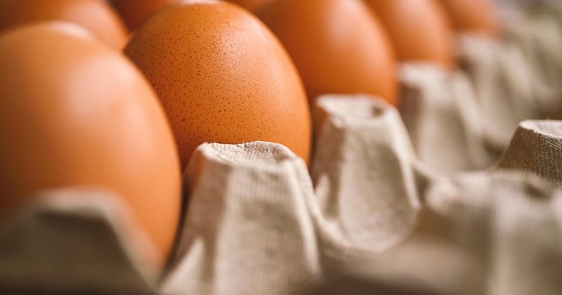 Néophobie alimentaire chez les personnes autistes : comment la gérer au quotidien